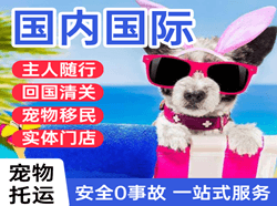 无锡硕放航空货运国际宠物托运 【国